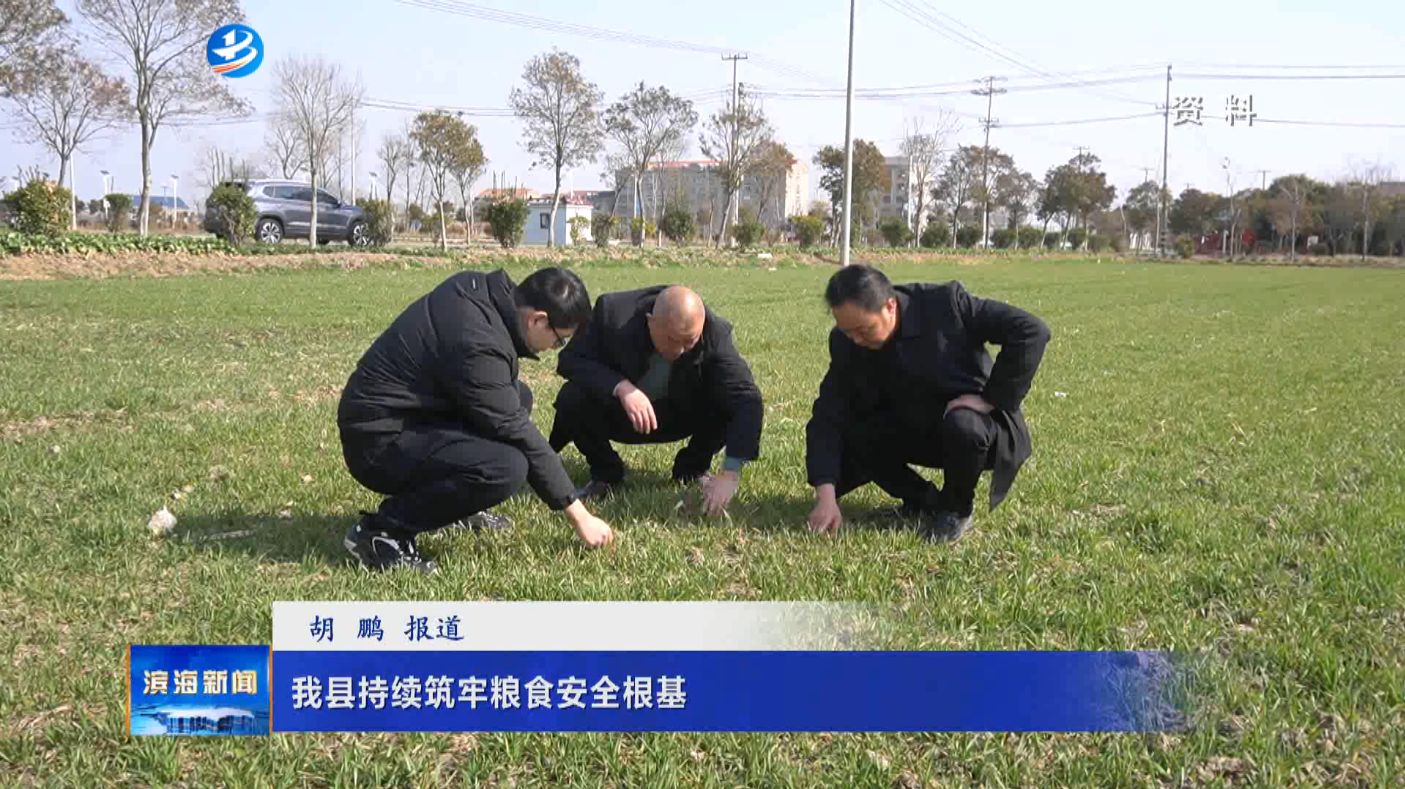 我縣持續(xù)筑牢糧食安全根基