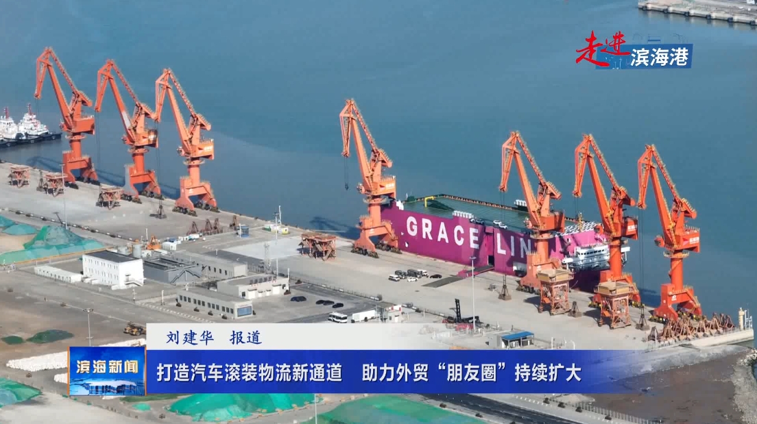 【走進濱海港】打造汽車滾裝物流新通道?助力