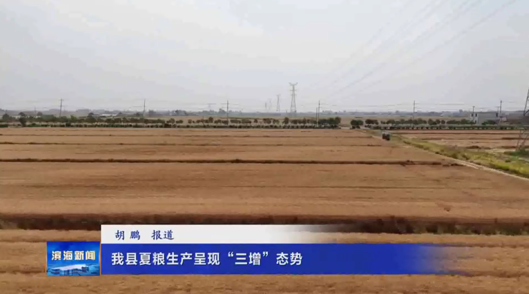 我縣夏糧生產(chǎn)呈現(xiàn)“三增”態(tài)勢