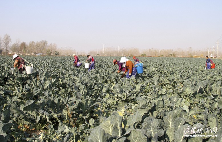 界牌鎮(zhèn)竹林水果種植家庭農(nóng)場(chǎng)