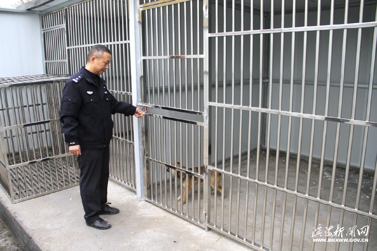 縣公安局開展流浪犬、無主犬收容行動