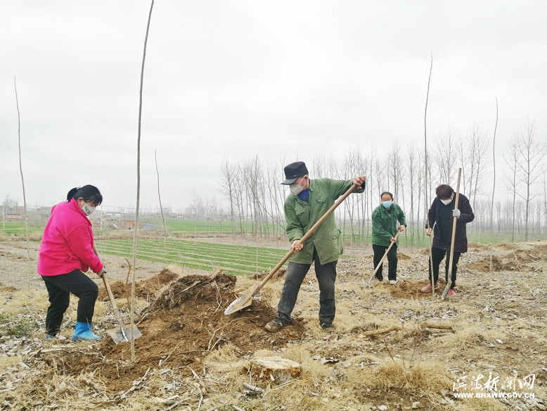 各鎮(zhèn)（區(qū)、街道）掀起植樹綠化熱潮