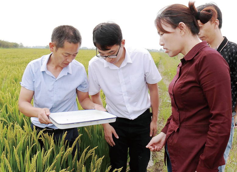 蔡橋鎮(zhèn)農(nóng)技人員指導(dǎo)水稻病蟲(chóng)害防治工作