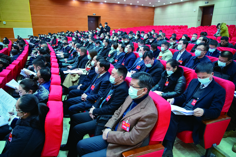 出席政協(xié)濱海縣十三屆五次會議的委員們