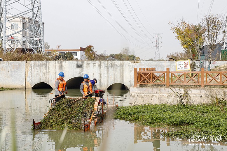 縣農業(yè)園大關村村民清理河道內水草